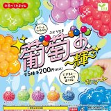 画像: 葡萄玉－輝－（９月）【■２００円カプセルトイ　５０個入り　エール】＋正規台紙