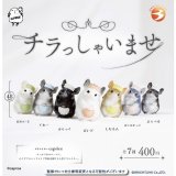 画像: チラっしゃいませ（９月）【■４００円カプセルトイ　３０個入り　ブライトリンク】＋正規台紙