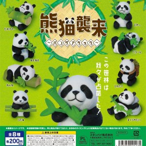 画像: 熊猫襲来－パンダアタック（９月）【■２００円カプセルトイ　５０個入り　スタンバイ】＋正規台紙