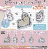 画像: ゆるふわうさぎのめじるしチャーム【♪３００円カプセルトイ　４０個入り　ホットライン】＋正規台紙