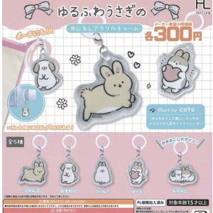 画像: ゆるふわうさぎのめじるしチャーム【♪３００円カプセルトイ　４０個入り　ホットライン】＋正規台紙