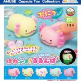 画像: ほわぷるウーパーのるるんぱ（１０月）【△３００円カプセルトイ　４０個入り　アミューズ】＋正規台紙