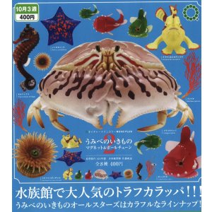 画像: NTC MONO+ うみべのいきもの マグネット&ボールチェーン２（１０月）【△４００円カプセルトイ　３０個入り　いきもん】＋正規台紙