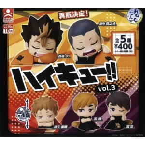 画像: おねむたん ハイキュー！！ vol.3（再販）（１０月）【△４００円カプセルトイ　３０個入り　S・ストーンズ】＋正規台紙