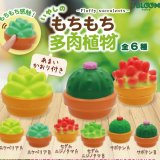 画像: もちもち多肉植物（再販）（１０月）【△３００円カプセルトイ　４０個入り　ブルーム】＋正規台紙