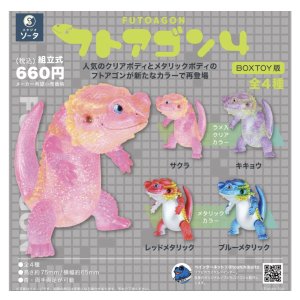 画像: ＳＯ－ＴＡ／△ＴＦＣ　フトアゴン4（１０月）