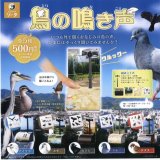 画像: 鳥の鳴き声（１０月）【△５００円カプセルトイ　２０個入り　SO-TA】＋正規台紙