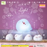 画像: 文鳥ほんわりlight（再販）（１１月）【△３００円カプセルトイ　４０個入り　エール】＋正規台紙