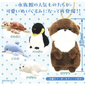 画像: かわいいかわいいぬいぐるみ　水族館のいきもの（再販）（１０月）【△５００円カプセルトイ　２０個入り　奇譚クラブ】＋正規台紙