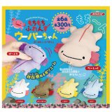 画像: もちもちふれんずウーパーちゃんBC【リューアル】（１０月）【△３００円カプセルトイ　４０個入り　アクセス】＋正規台紙