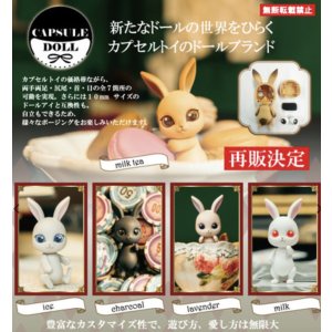 画像: CAPSULE DOLL vol.3 bunny（再販）（１０月）【△５００円カプセルトイ　２０個入り　ＨＭＡ】＋正規台紙