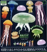 画像: NTC MONO+ 光るクラゲ ぷにぷにボールチェーン（１１月）【▲４００円カプセルトイ　３０個入り　いきもん】＋正規台紙