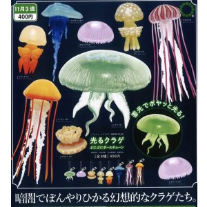 画像: NTC MONO+ 光るクラゲ ぷにぷにボールチェーン（１１月）【▲４００円カプセルトイ　３０個入り　いきもん】＋正規台紙