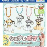 画像: シュナとボブちみっとキーホルダー（１１月）【▲３００円カプセルトイ　４０個入り　アミューズ】＋正規台紙