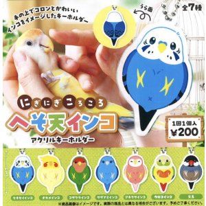 画像: にぎにぎころころ　へそ天インコ　アクリルキーホルダー（１１月）【▲２００円カプセルトイ　５０個入り　funbox】＋正規台紙