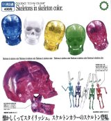 画像: STC スケルトンズ イン スケルトンカラー（１１月）【▲４００円カプセルトイ　３０個入り　いきもん】＋正規台紙