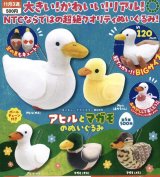 画像: NTC MONO アヒルとマガモのぬいぐるみ（１１月）【▲５００円カプセルトイ　２０個入り　いきもん】＋正規台紙