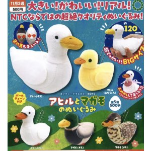画像: NTC MONO アヒルとマガモのぬいぐるみ（１１月）【▲５００円カプセルトイ　２０個入り　いきもん】＋正規台紙