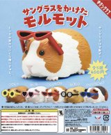 画像: サングラスをかけたモルモット（再販）（１１月）【▲４００円カプセルトイ　３０個入り　奇譚クラブ】＋正規台紙