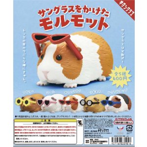 画像: サングラスをかけたモルモット（再販）（１１月）【▲４００円カプセルトイ　３０個入り　奇譚クラブ】＋正規台紙