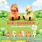 画像: キキクオッカわくわくソフビ（１２月）【▲３００円カプセルトイ　４０個入り　エール】＋正規台紙