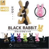 画像: BLACK RABBiT9（１１月）【▲４００円カプセルトイ　３０個入り　SO-TA】＋正規台紙