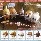画像: いい感じの棒をゲットした犬（再販）（１１月）【▲３００円カプセルトイ　４０個入り　S・ストーンズ】＋正規台紙