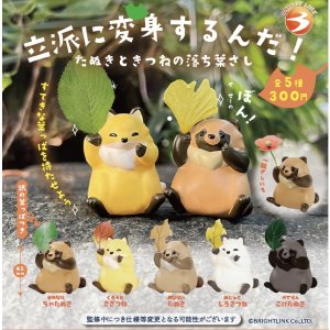 画像: 立派に変身するんだ！（１１月）【▲３００円カプセルトイ　４０個入り　ブライトリンク】＋正規台紙