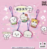 画像: 【パワーポジティブな迫力ワンコ、ボクスリ】ボクスリ PVCキーホルダー（１１月）【▲３００円カプセルトイ　４０個入り　It's Your Primetime】＋正規台紙