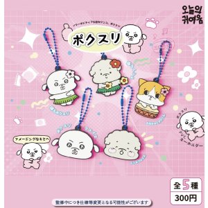 画像: 【パワーポジティブな迫力ワンコ、ボクスリ】ボクスリ PVCキーホルダー（１１月）【▲３００円カプセルトイ　４０個入り　It's Your Primetime】＋正規台紙