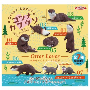 画像: Ｏｔｔｅｒ　Ｌｏｖｅｒコツメカワウソますこっと（１１月）【▲３００円カプセルトイ　４０個入り　アクセス】＋正規台紙