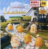 画像: こっそり村のぴよこたち　ミニチュアマスコット（１２月）【▽３００円カプセルトイ　４０個入り　イエロー】＋正規台紙