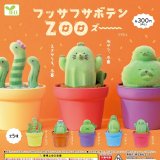 画像: フッサフサボテンＺＯＯ（１２月）【▽３００円カプセルトイ　４０個入り　エール】＋正規台紙