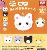 画像: 瞳のリアルなねこぬいぐるみチャーム（１２月）【▽４００円カプセルトイ　３０個入り　夢屋】＋正規台紙