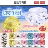 画像: 海の宝石箱（１２月）【▽１００円カプセルトイ　１カートン８００個入り　榎並産業】
