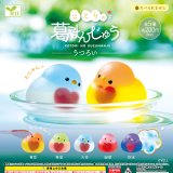 画像: ことりの葛まんじゅうーうつろいー（１月）【▼２００円カプセルトイ　５０個入り　エール】＋正規台紙