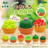 画像: もちもち多肉植物（再販）（１月）【▼３００円カプセルトイ　４０個入り　ブルーム】＋正規台紙
