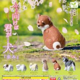 画像: ふり向けば君が犬－歩みー（２月）【▼２００円カプセルトイ　５０個入り　エール】＋正規台紙