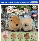 画像: のほほんカピバラちゃんぬいぐるみ（１月）【▼５００円カプセルトイ　２０個入り　アミューズ】＋正規台紙