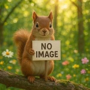 画像: ドラゴンクエスト　AM　ビッグアクションフィギュア　竜王（３月）