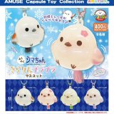 画像: ふくふくシマちゃんきらりんプラプラマスコット（３月）【○４００円カプセル　３０個入り　アミューズ】＋正規台紙
