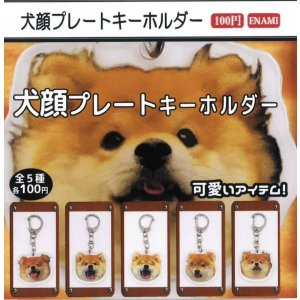 画像: 犬顔プレートキーホルダー(2月)【○100円カプセル 1カートン800個入り 榎並産業】
