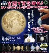 画像: STC 月齢 蓄光めじるしマスコット(再販)(3月)【○300円カプセル 40個入り いきもん】+正規台紙