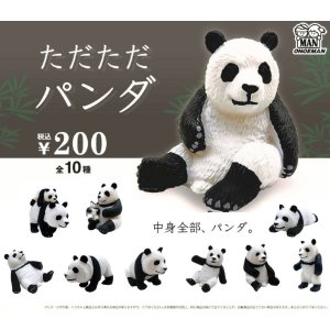 画像: ただただパンダ（２月）【○２００円カプセル　５０個入り　尾上萬】＋正規台紙