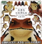 画像: NTC 大きなヒキガエル(再販)(2月)【○500円カプセル 20個入り いきもん】+正規台紙