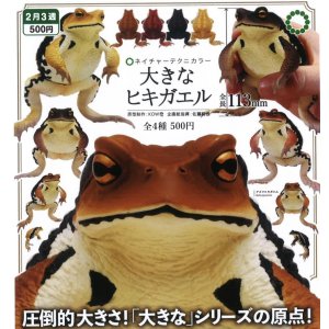 画像: NTC 大きなヒキガエル（再販）（２月）【○５００円カプセル　２０個入り　いきもん】＋正規台紙