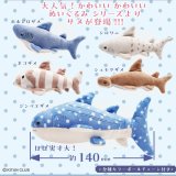 画像: かわいいかわいいぬいぐるみ-サメ-(3月)【○500円カプセル 20個入り 奇譚クラブ】+正規台紙
