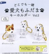 画像: どこでも一緒 愛犬もふだまキーホルダーvol.2(2月)【○300円カプセル 40個入り レインボー】+正規台紙