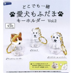 画像: どこでも一緒 愛犬もふだまキーホルダーvol.2(2月)【○300円カプセル 40個入り レインボー】+正規台紙