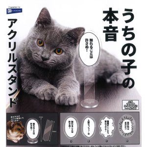 画像: うちの子の本音アクリルスタンド(2月)【○300円カプセル 40個入り レインボー】+正規台紙